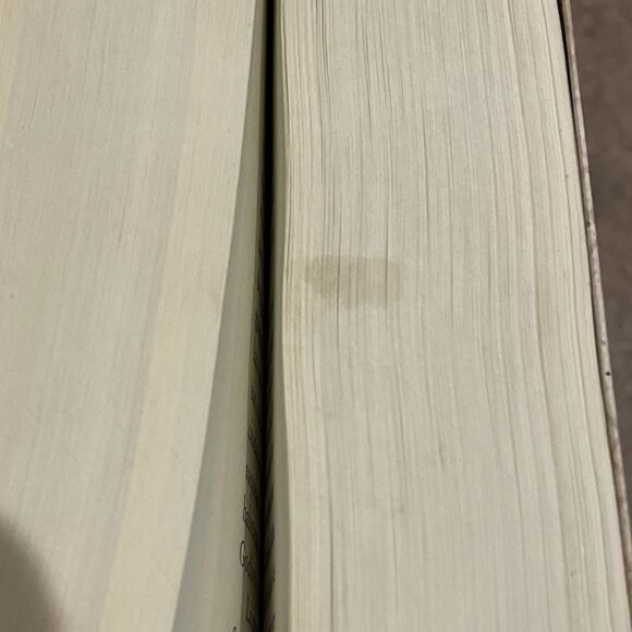 Un Mundo Sin Fin Spanish Edition By Ken Follet Tradeback Kingsbridge Series - Picture 10 of 11